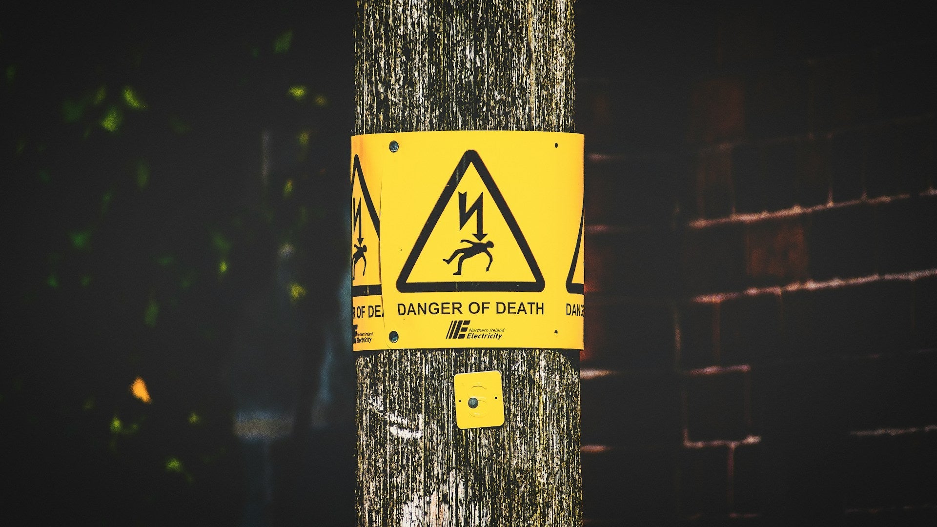 electrical label
