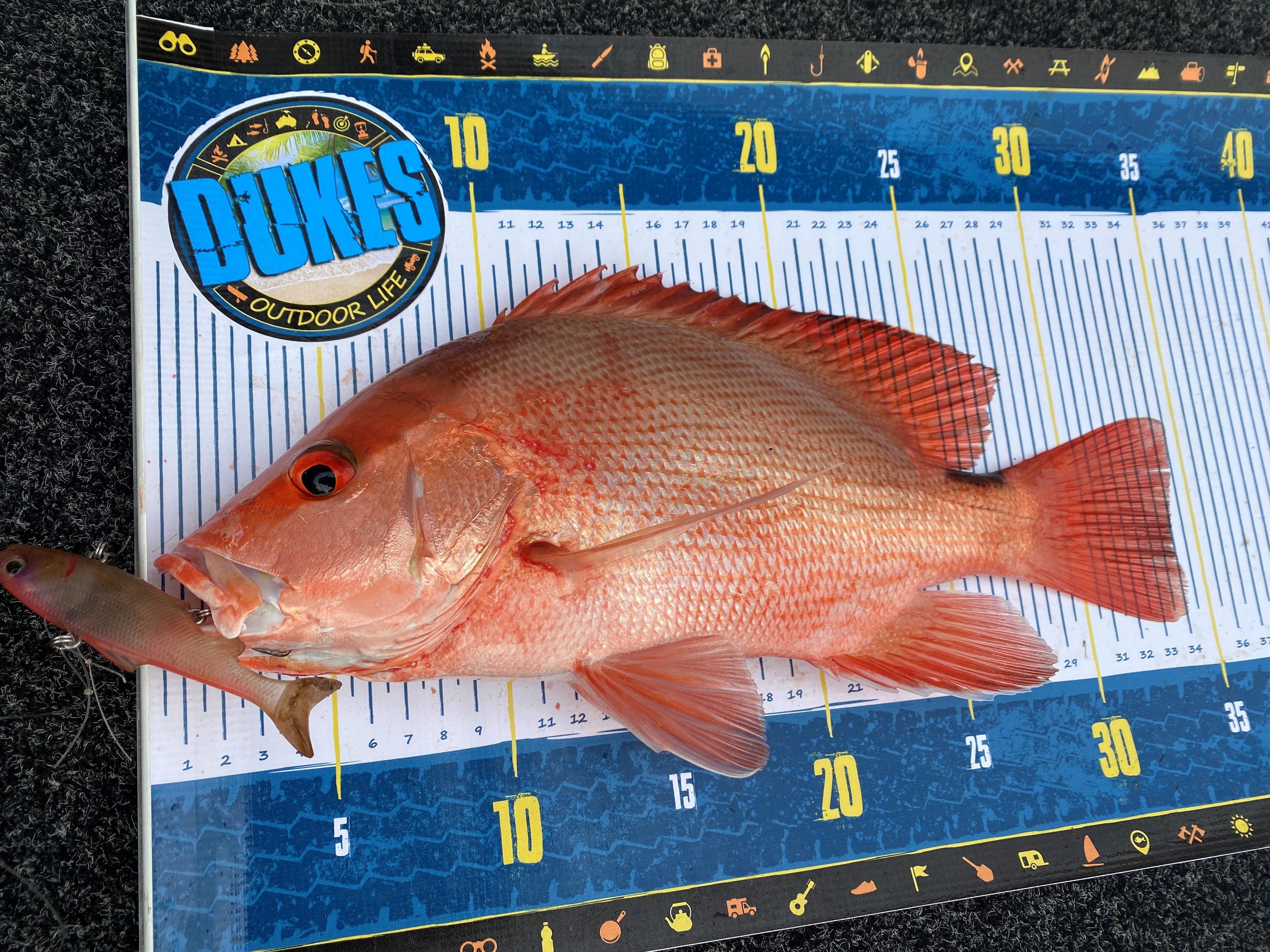 Fishing Rulers