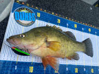 Custom Brag Mats / Fishing Rulers