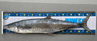 Custom Brag Mats / Fishing Rulers
